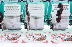 <b>它是在普通的绣花过程中</b>